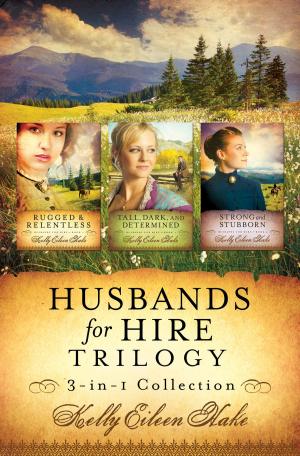 Cover of the book Husbands for Hire Trilogy by Lauralee Bliss, Angela Breidenbach, Ramona K. Cecil, Pamela Griffin, Grace Hitchcock, Pam Hillman, Laura V. Hilton, Tiffany Amber Stockton, Liz Tolsma