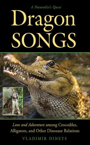 Cover of the book Dragon Songs by John DeCure