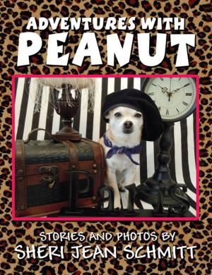 Cover of the book Adventures with Peanut by Judy Quitoriano