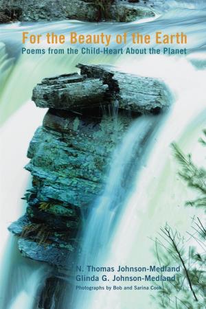Cover of the book For the Beauty of the Earth by Harold J. Recinos