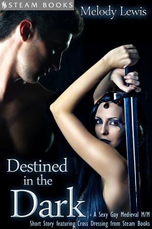 Cover of the book Destined in the Dark - Historical Cross-Dressing Medieval M/M Erotica from Steam Books by Logan Woods, Jolie James, Steam Books
