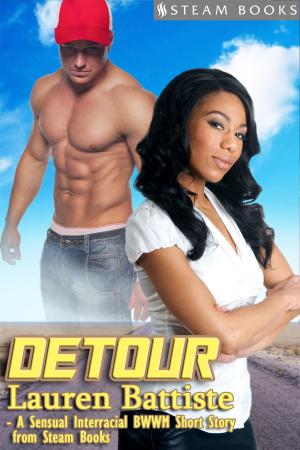 Book cover of Detour - Sexy Interracial BWWM Erotic Romance Short Story from Steam Books