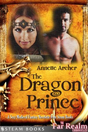 Cover of the book The Dragon Prince - A Sexy Medieval Fantasy Novelette from Steam Books by Annette Archer, Steam Books