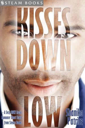Book cover of Kisses Down Low - A Sexy BBW Erotic Romance Short Story from Steam Books