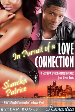 Cover of In Pursuit of a Love Connection (with "A Simple Photographer") - A Sexy BBW Erotic Romance Novelette from Steam Books