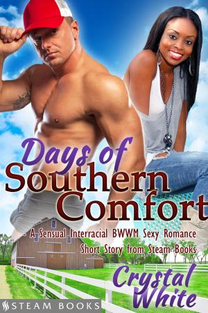 Book cover of Days of Southern Comfort - A Sensual Interracial BWWM Sexy Romance Short Story from Steam Books