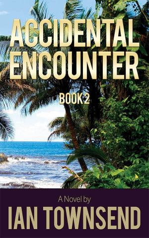 Cover of the book Accidental Encounter by Colin Caudell
