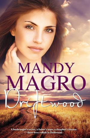 Cover of the book Driftwood by Gabrielle Lane