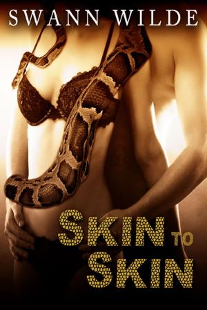 Cover of the book Skin to Skin by Keiko Alvarez