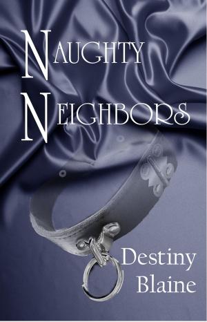 Cover of the book Naughty Neighbors by Wanda A. Wallace