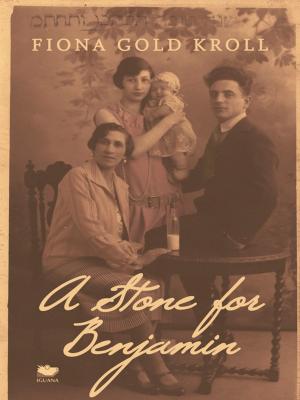 Cover of the book A Stone for Benjamin by Vanessa Ricci-Thode