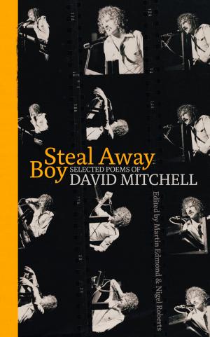 Cover of the book Steal Away Boy by Ian Wedde