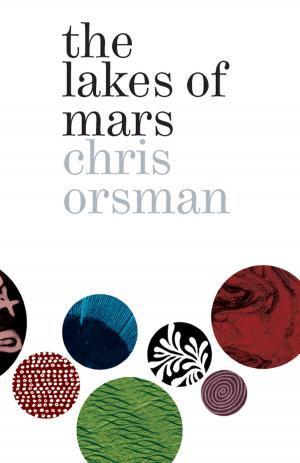 Cover of the book The Lakes of Mars by Janet Charman