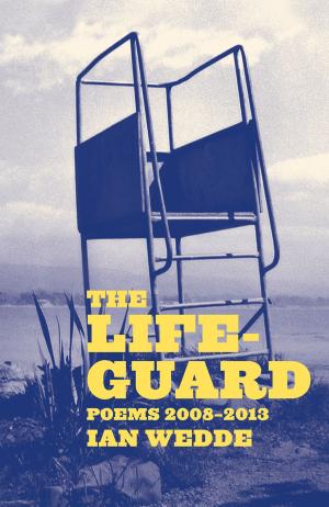 Book cover of The Lifeguard