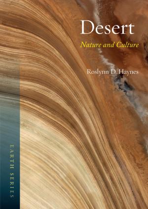 Cover of the book Desert by Victor I. Stoichita