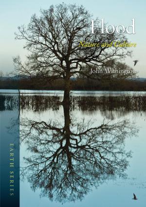 Cover of the book Flood by Steven Connor