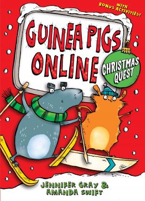 Cover of the book Christmas Quest by Allan Frewin Jones