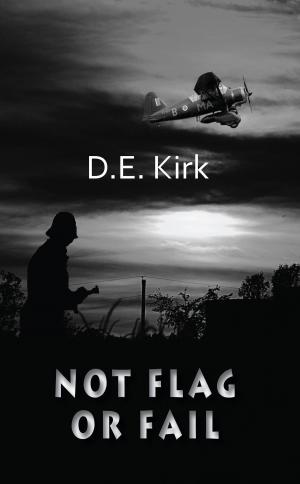 Cover of the book Not Flag or Fail by Africanus E. Davies