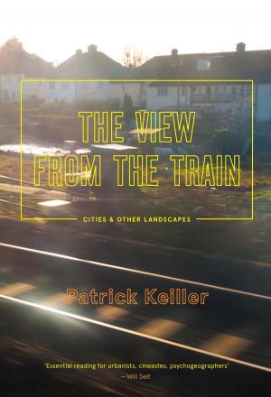 Cover of the book The View From The Train by Luciana Castellina