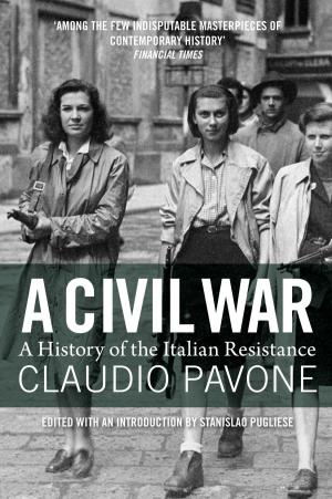 Cover of the book A Civil War by Karen L. Ishizuka