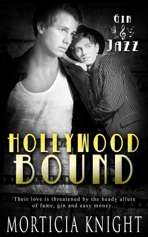 Cover of the book Hollywood Bound by Bailey Bradford
