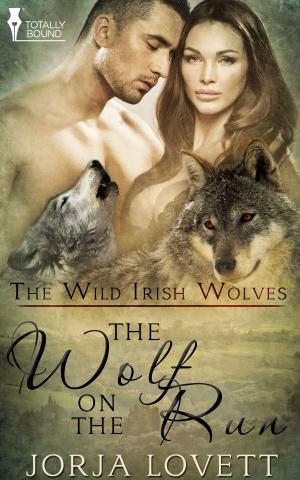 Cover of the book The Wolf on the Run by Sierra Cartwright