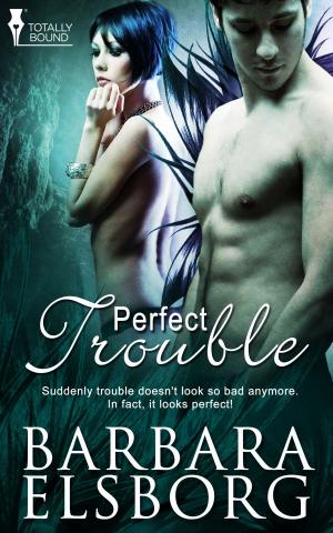 Cover of the book Perfect Trouble by Nola Sarina