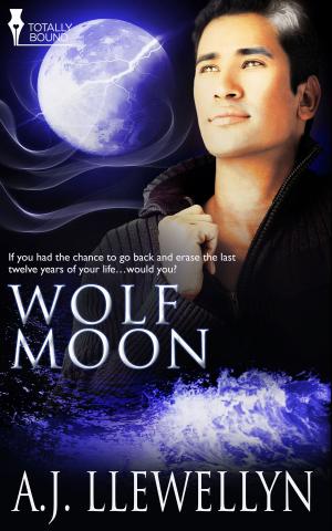 Cover of the book Wolf Moon by BA Tortuga