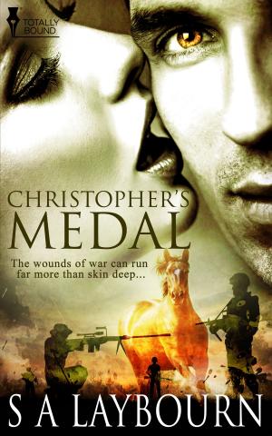 Cover of the book Christopher's Medal by K. Evan Coles, Brigham Vaughn