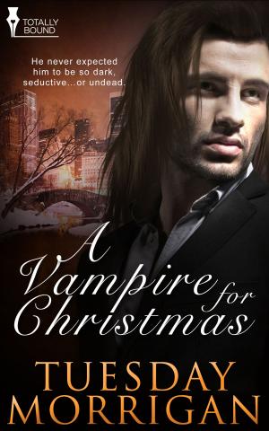 Cover of the book A Vampire For Christmas by Tanith Davenport