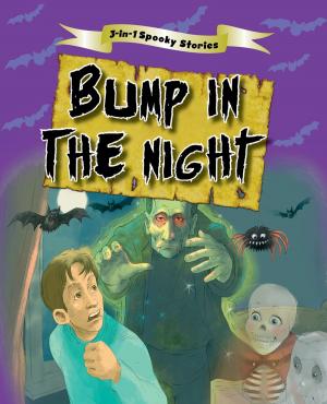 Cover of the book Bump in the Night by T E Olivant