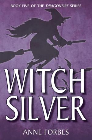 Cover of the book Witch Silver by Mike Nicholson