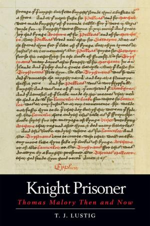 Cover of the book Knight Prisoner by Flemming Olsen