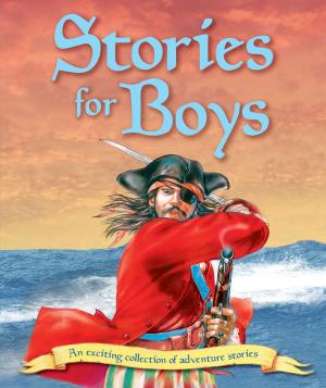 bigCover of the book Stories for Boys by 