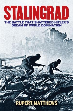 Cover of the book Stalingrad by Nick Griffiths