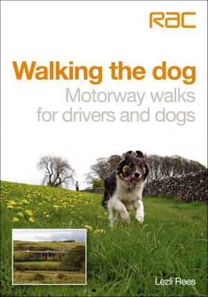 Cover of the book Walking the dog by Pete Davies