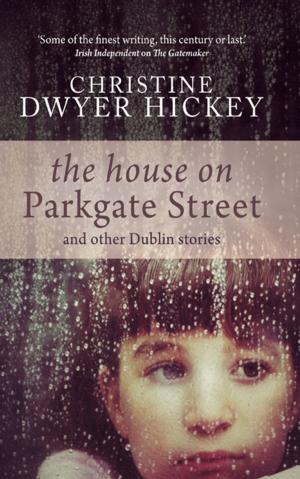 Cover of the book The House on Parkgate Street by David Blake Knox