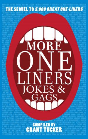 bigCover of the book More One Liners, Jokes and Gags by 