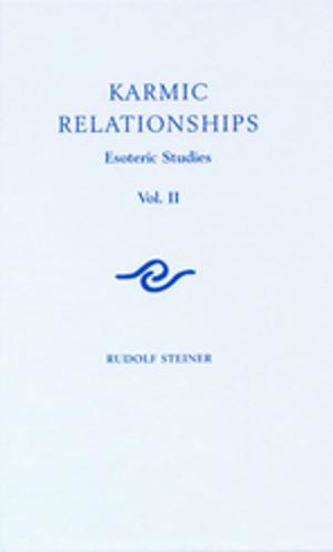 Book cover of Karmic Relationships: Volume 2