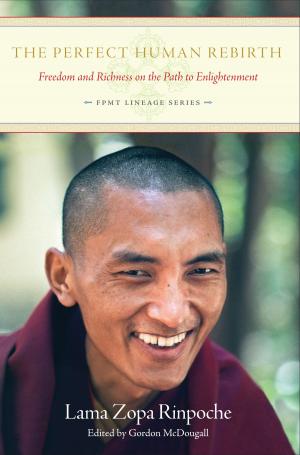 Book cover of The Perfect Human Rebirth: Freedom and Richness on the Path to Enlightenment