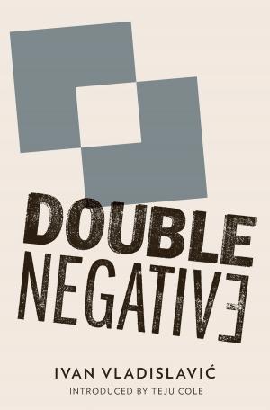 Cover of the book Double Negative by Joanna Walsh