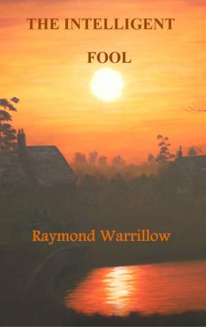 Cover of the book The Intelligent Fool by Raymond Warrillow