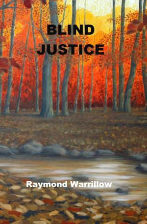 Book cover of Blind Justice