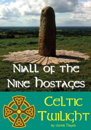 bigCover of the book Niall of the Nine Hostages: Celtic Twilight by 