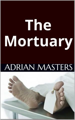 Cover of the book The Mortuary by Zara Ellis