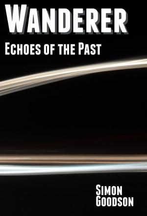 Cover of the book Wanderer - Echoes of the Past by Katie Jackson
