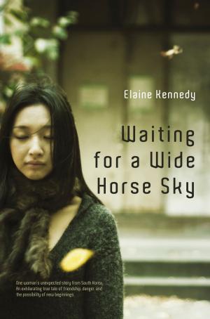 Cover of the book Waiting for a Wide Horse Sky by Patrick Holland