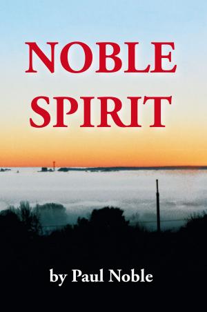 Cover of the book Noble Spirit by J. P. Borsini