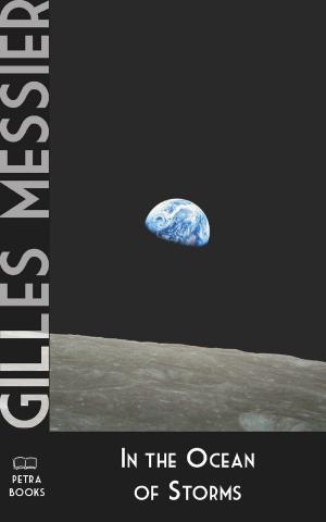 Cover of the book In the Ocean of Storms by Gilles Messier