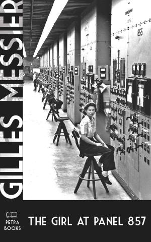 Cover of the book The Girl at Panel 857 by Gilles Messier